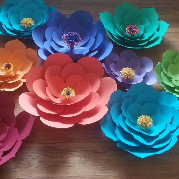 Meet your Posher, Silvia - Picture 1 of 1